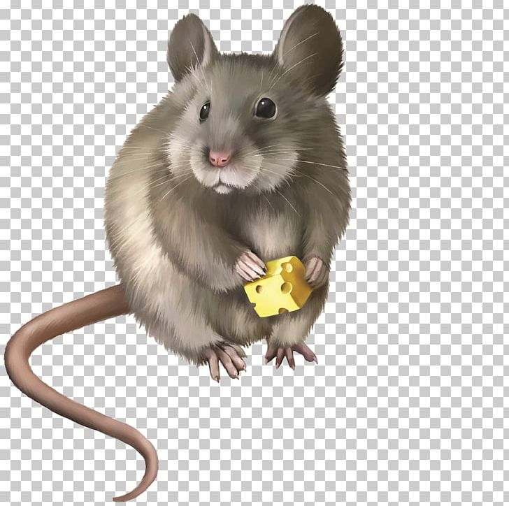 Rat Mouse Rodent PNG, Clipart, Animals, Baby Eating, Cartoon, Cheese Cake, Cute Free PNG Download