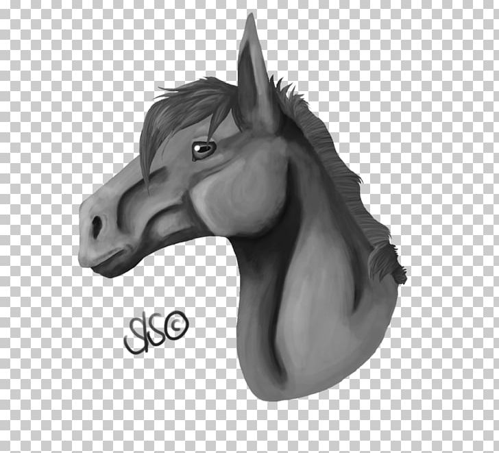 Mane Mustang Pony Stallion Drawing PNG, Clipart, Bridle, Drawing, Grayscale, Halter, Head Free PNG Download