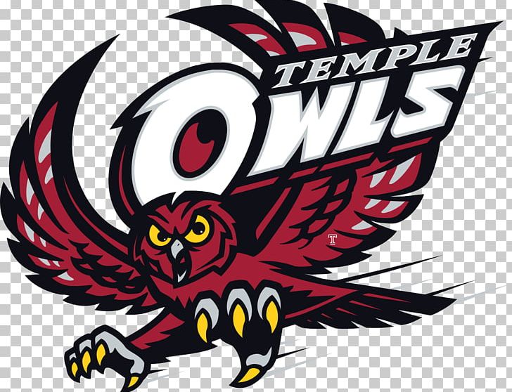 Temple Owls Football Temple Owls Men's Basketball Temple Owls Women's Basketball Liacouras Center Temple University PNG, Clipart, Art, Artwork, Beak, Bird, Coach Free PNG Download