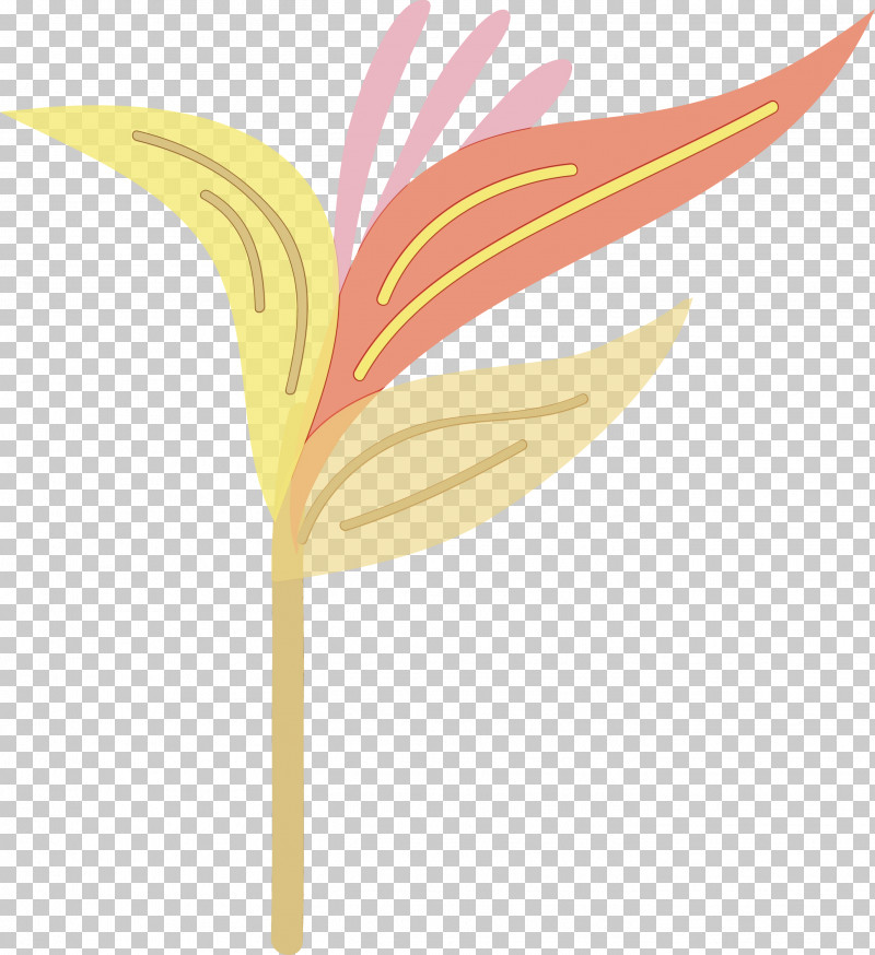 Feather PNG, Clipart, Computer, Feather, Leaf, Leaf Abstract, Leaf Cartoon Free PNG Download