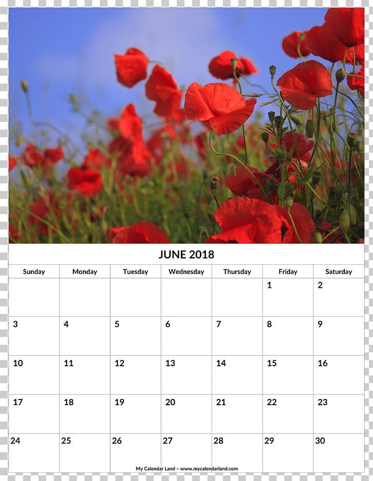 Common Poppy Remembrance Poppy Desktop Opium Poppy PNG, Clipart, 2017, 2018, Calendar, Common Poppy, Computer Free PNG Download