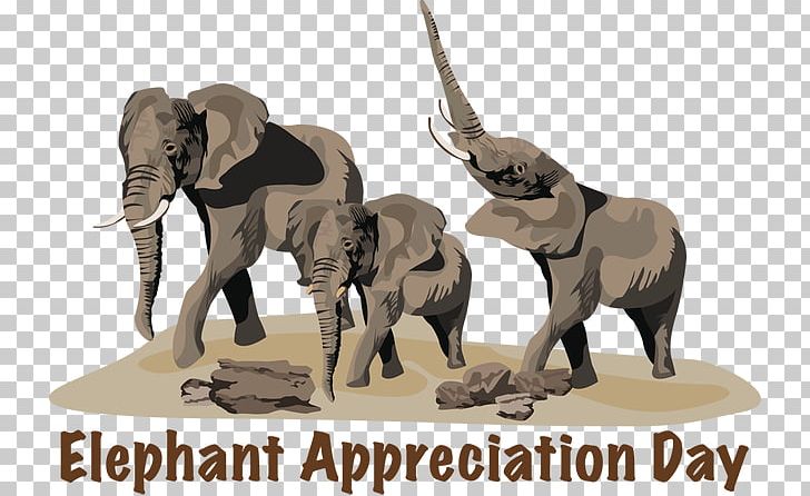 Savanna African Bush Elephant Lion Elephantidae Valencia Bioparc PNG, Clipart, African Bush Elephant, African Elephant, African Forest Elephant, Animals, Ele Free PNG Download