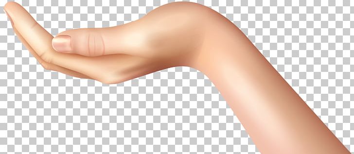Thumb Woman Holding Hands PNG, Clipart, Arm, Beauty, Chin, Clip Art, Finger Free PNG Download