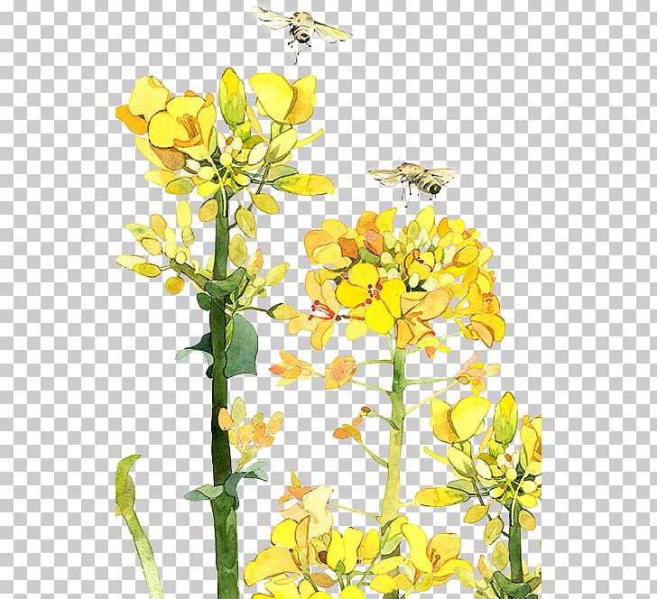 Yushui Flower Illustration PNG, Clipart, Branch, Cauliflower, Encapsulated Postscript, Flower, Flower Arranging Free PNG Download