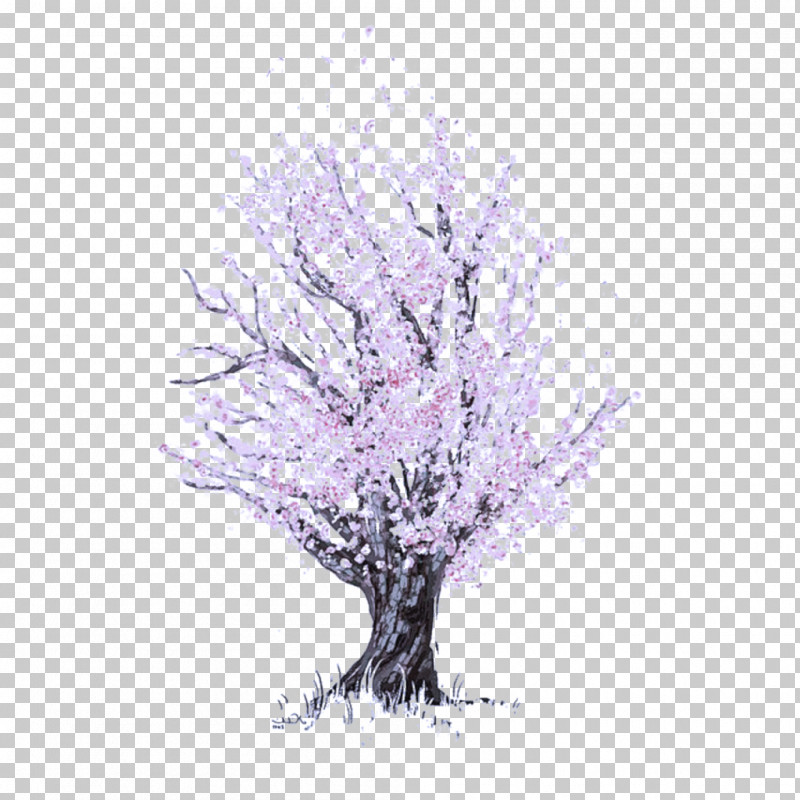 Tree Branch Woody Plant Plant Purple PNG, Clipart, Branch, Drawing, Lilac, Plant, Purple Free PNG Download