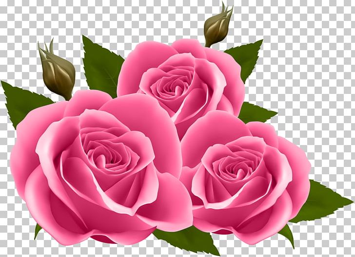 Rose Purple Flower PNG, Clipart, Clipart, Cut Flowers, Floral Design, Floribunda, Floristry Free PNG Download