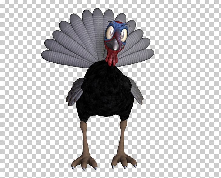 Thanksgiving Turkey PNG, Clipart, Animals, Banco De Imagens, Beak, Bird, Christmas Free PNG Download