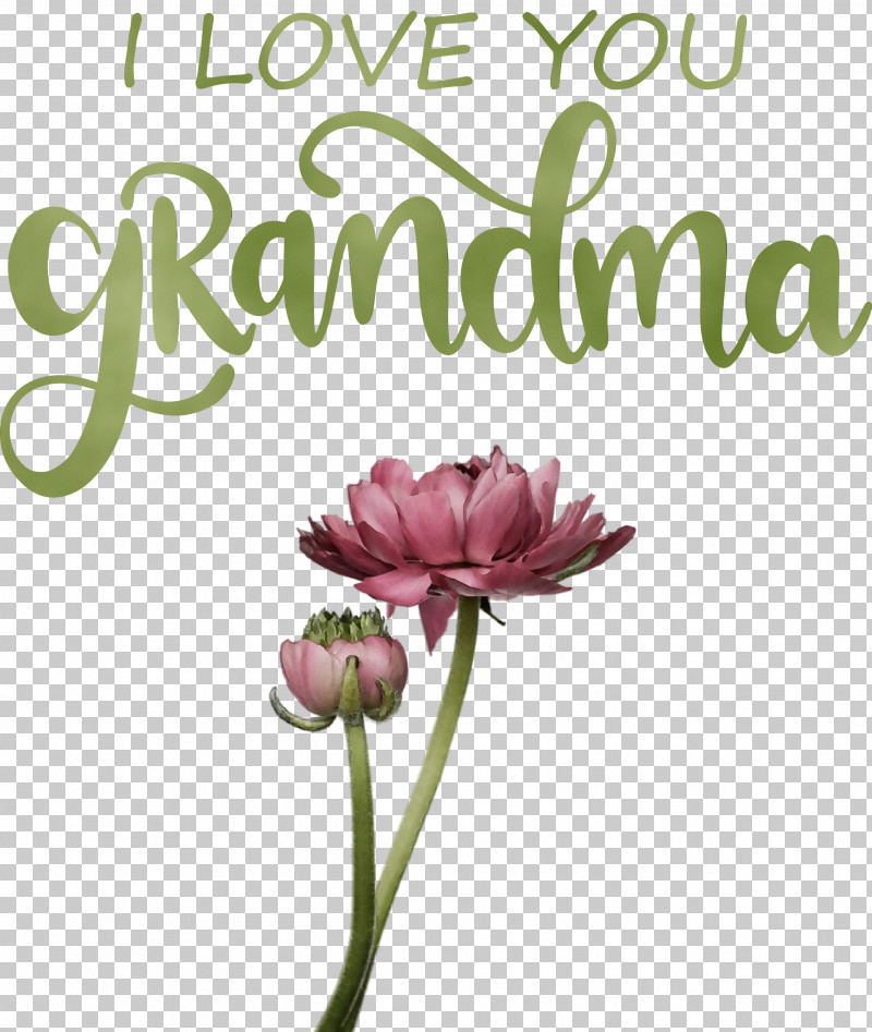 Floral Design PNG, Clipart, Biology, Cut Flowers, Floral Design, Flower, Grandma Free PNG Download