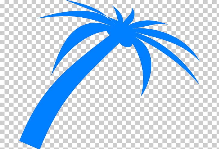 Arecaceae Tree Coconut PNG, Clipart, Area, Arecaceae, Blue, Circle, Coconut Free PNG Download