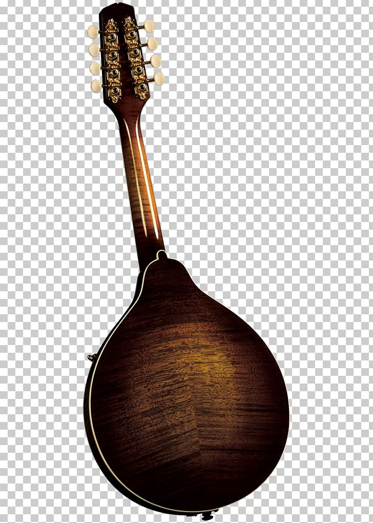 Mandolin Musical Instruments Musician Bağlama F-lyuk PNG, Clipart, Acoustic Electric Guitar, Acousticelectric Guitar, Artist, Baglama, Banjo Guitar Free PNG Download