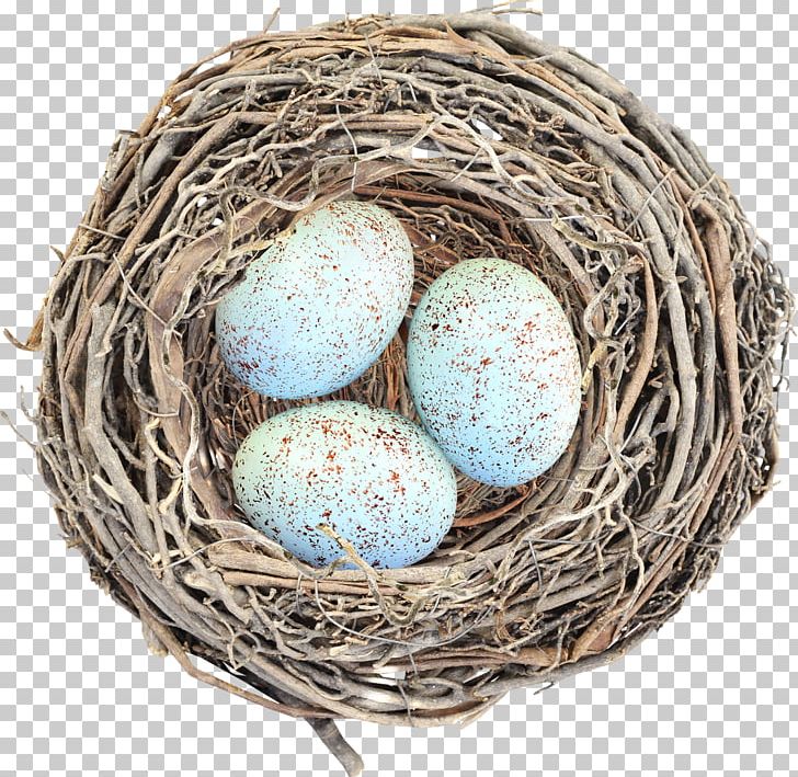 Egg Bird Nest PNG, Clipart, Bird, Bird Nest, Depositfiles, Download, Easter Free PNG Download