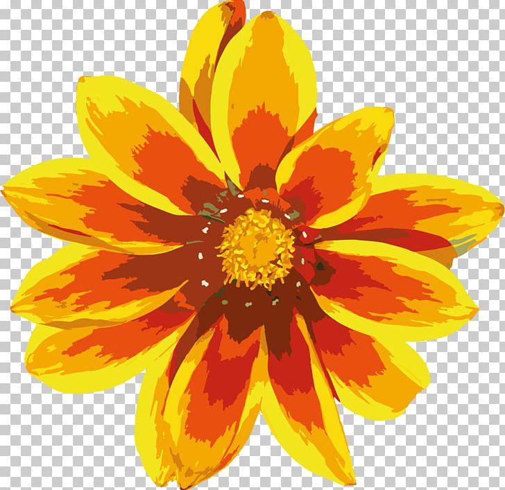 Common Sunflower Calendula Officinalis Yellow PNG, Clipart, Annual Plant, Calendula, Calendula, Chrysanths, Common Sunflower Free PNG Download