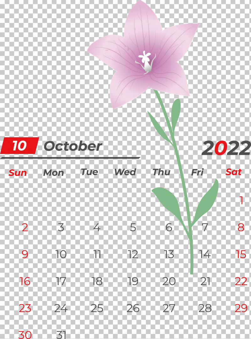 Flower Calendar Petal Font Meter PNG, Clipart, Biology, Calendar, Flower, Meter, Petal Free PNG Download