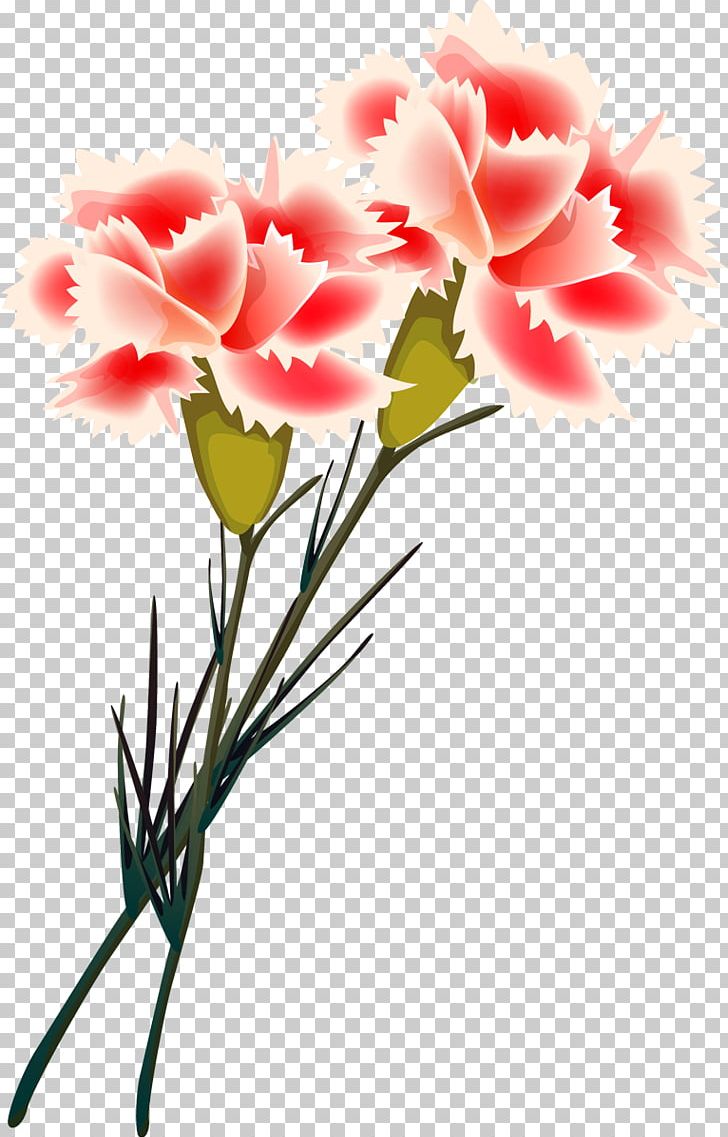 Carnation Cut Flowers Painting Floral Design PNG, Clipart, Carnation, Clove, Cut Flowers, Dianthus, Flora Free PNG Download