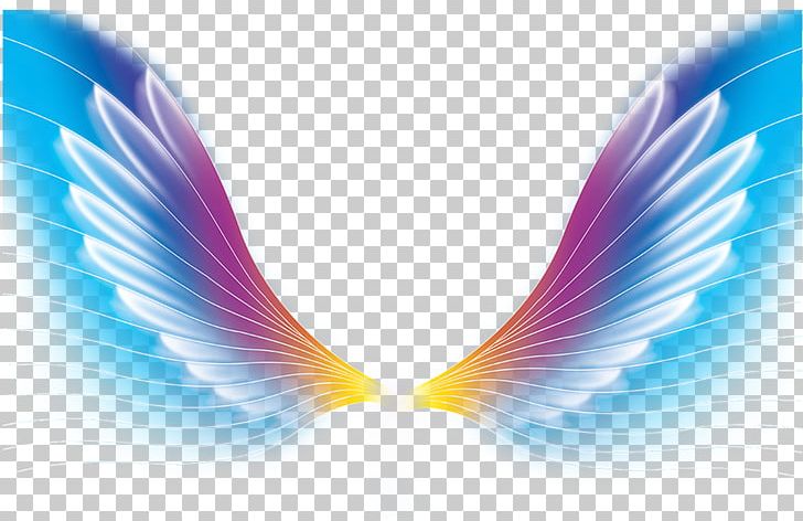 Color Wing PNG, Clipart, Angels Wings, Angel Wing, Angel Wings, Chicken Wings, Circle Free PNG Download