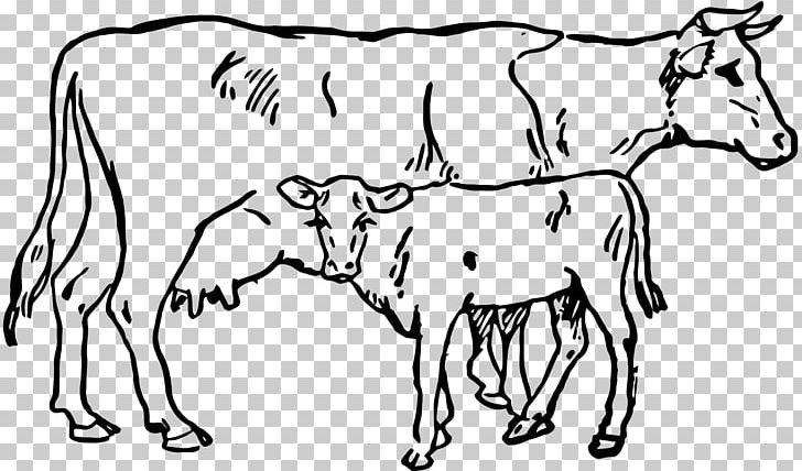 Hereford Cattle Calf Angus Cattle PNG, Clipart, Beef Cattle, Black And White, Bridle, Calf, Cattle Free PNG Download