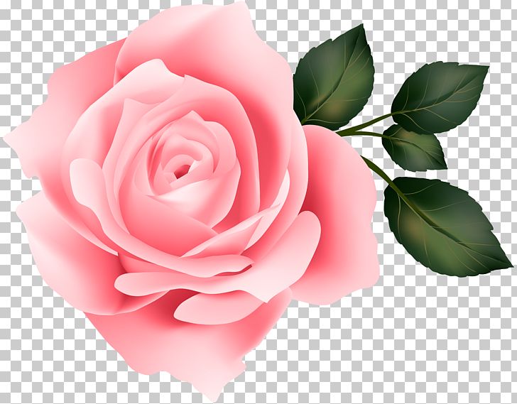 Rose Yellow PNG, Clipart, 2d Computer Graphics, Clipart, Computer Graphics, Computer Wallpaper, Cut Flowers Free PNG Download