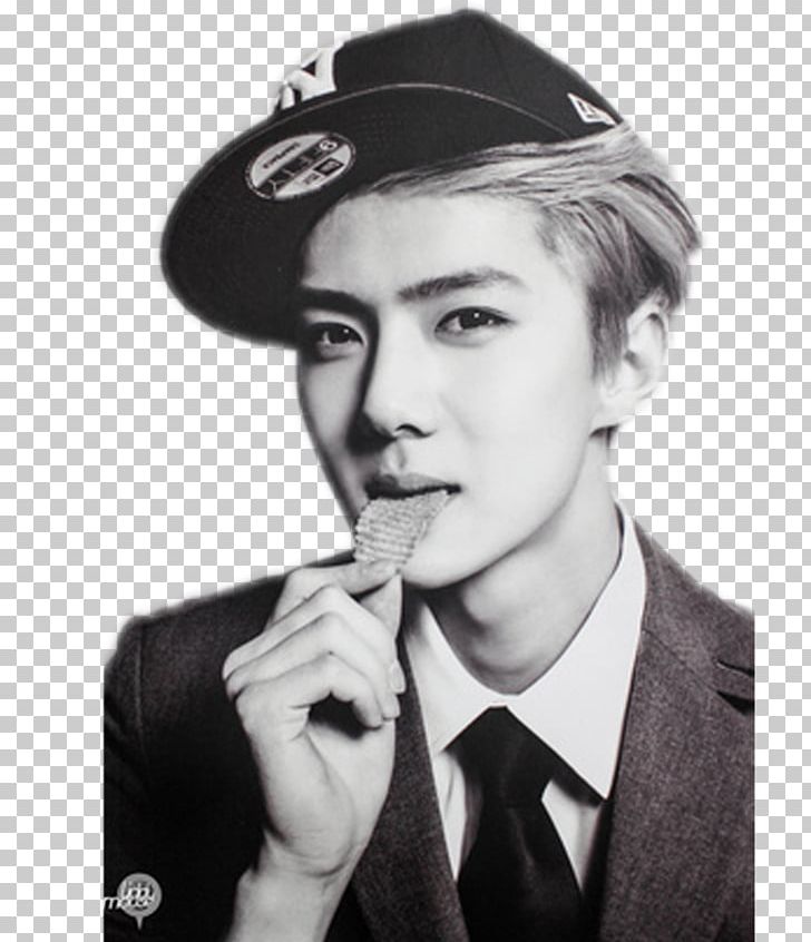Sehun EXO Overdose Wolf K-pop PNG, Clipart, Animals, Baekhyun, Black And White, Chanyeol, Chen Free PNG Download