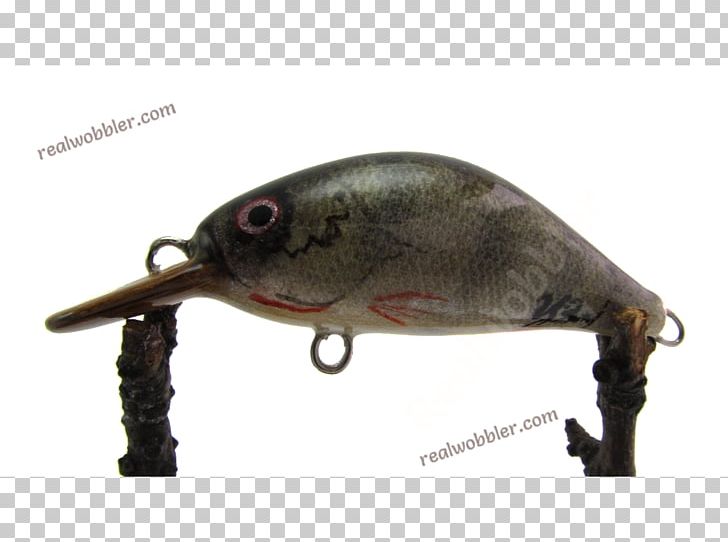 Fishing Baits & Lures Spoon Lure Plug PNG, Clipart, Bait, Fat, Fish, Fishing, Fishing Bait Free PNG Download