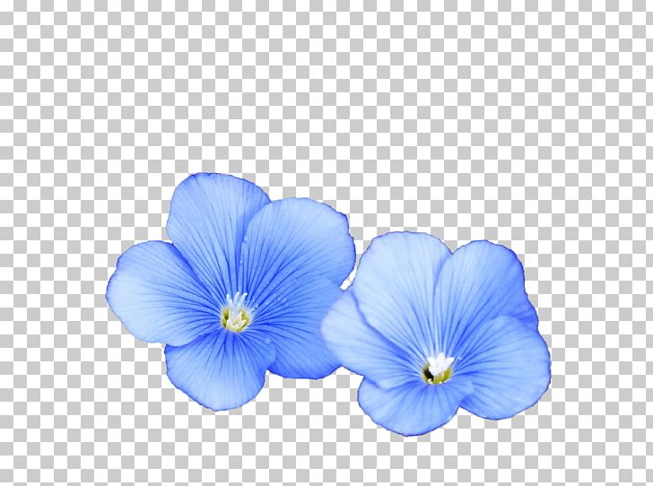 Flax Flower Paper Seed PNG, Clipart, Blue, Cobalt Blue, Coconut Oil, Engine Oil, Essential Oil Free PNG Download