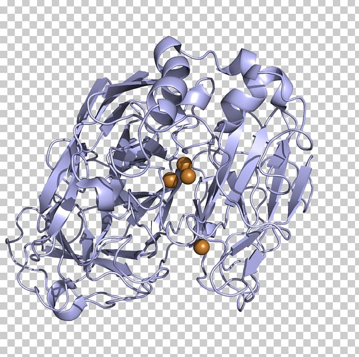 Laccase Enzyme Catalysis Fullerene Biosensor PNG, Clipart, Abts, Biosensor, Botrytis Cinerea, Catalysis, Enzyme Free PNG Download