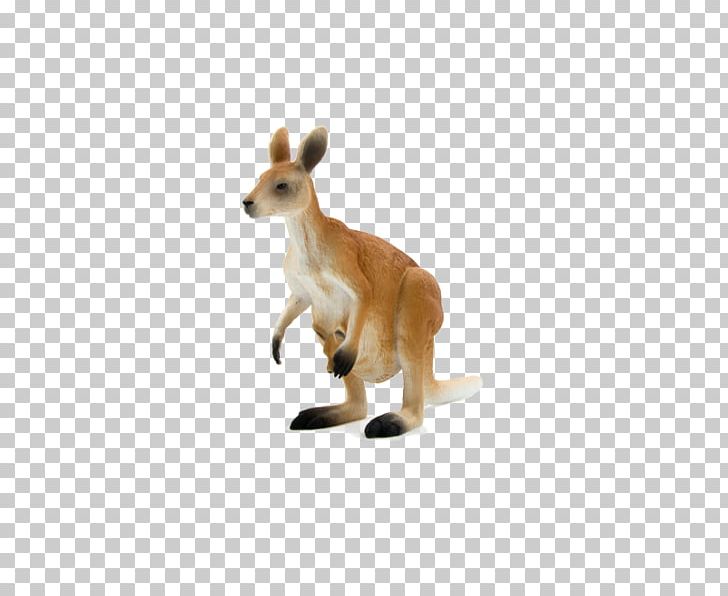 Macropods Red Kangaroo Stuffed Animals & Cuddly Toys PNG, Clipart, Action Toy Figures, Animal, Animal Figurine, Animal Planet, Dog Breed Free PNG Download