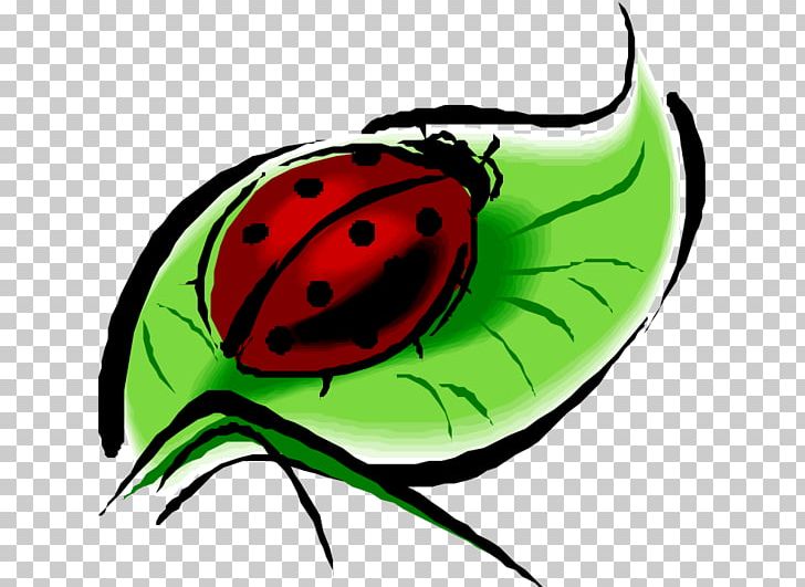 Ladybird Beetle Ladybug Photography PNG, Clipart, Animal, Animals, Artwork, Beetle, Butterfly Free PNG Download