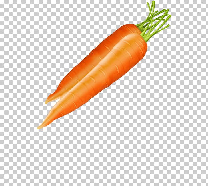 Baby Carrot Vegetable PNG, Clipart, Auglis, Baby Carrot, Carrot, Cartoon, Child Free PNG Download