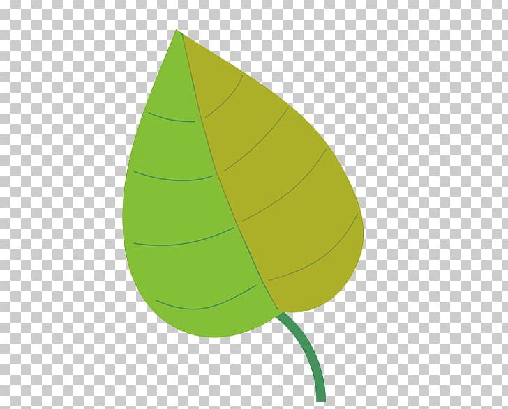 Leaf PNG, Clipart, Green, Leaf, Light Bamboo Leaves, Plant Free PNG Download