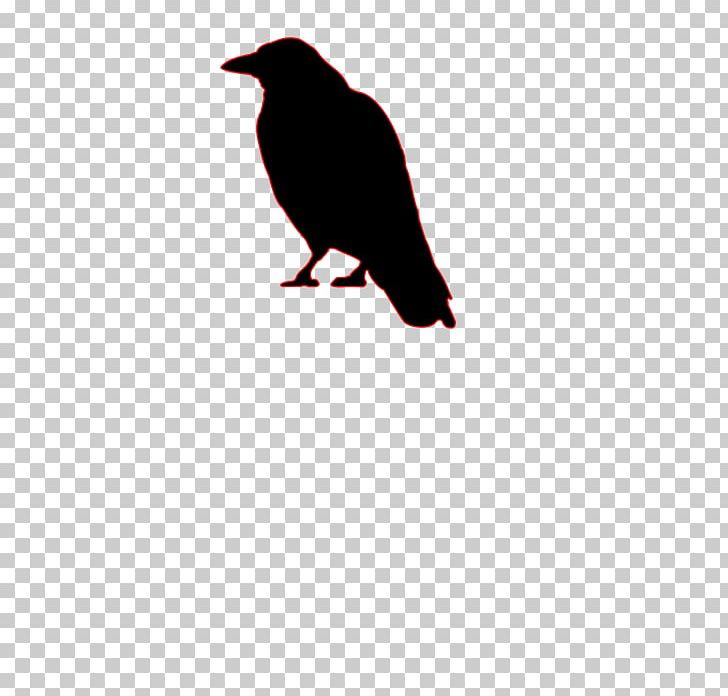 American Crow Bird Common Raven PNG, Clipart, American Crow, Animals, Animaux, Beak, Bird Free PNG Download