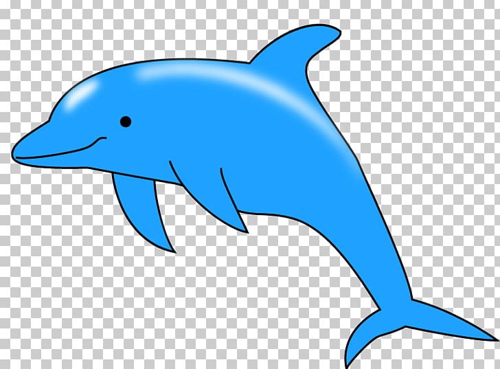 Common Bottlenose Dolphin Porpoise Rough-toothed Dolphin Tucuxi Wholphin PNG, Clipart, Animals, Artwork, Beak, Bottlenose Dolphin, Cetacea Free PNG Download