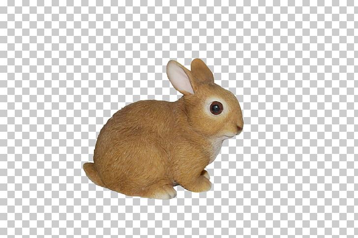 Dutch Rabbit Holland Lop Dog Ornament PNG, Clipart, Animal, Animals, Art, Baby, Cat Free PNG Download