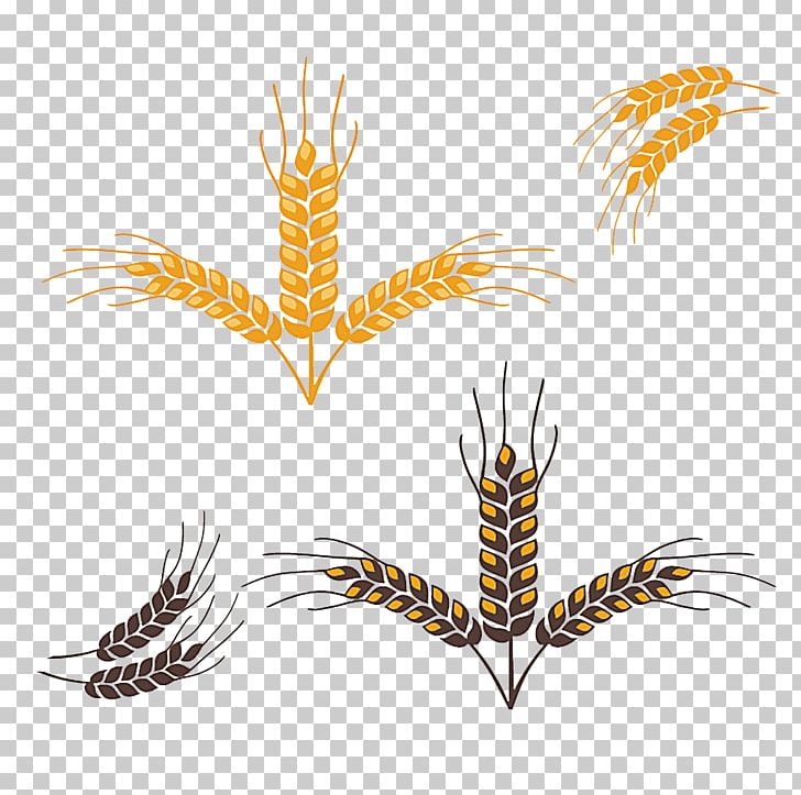 Euclidean Wheat PNG, Clipart, Black, Cartoon Wheat, Cereals, Commodity, Grass Family Free PNG Download