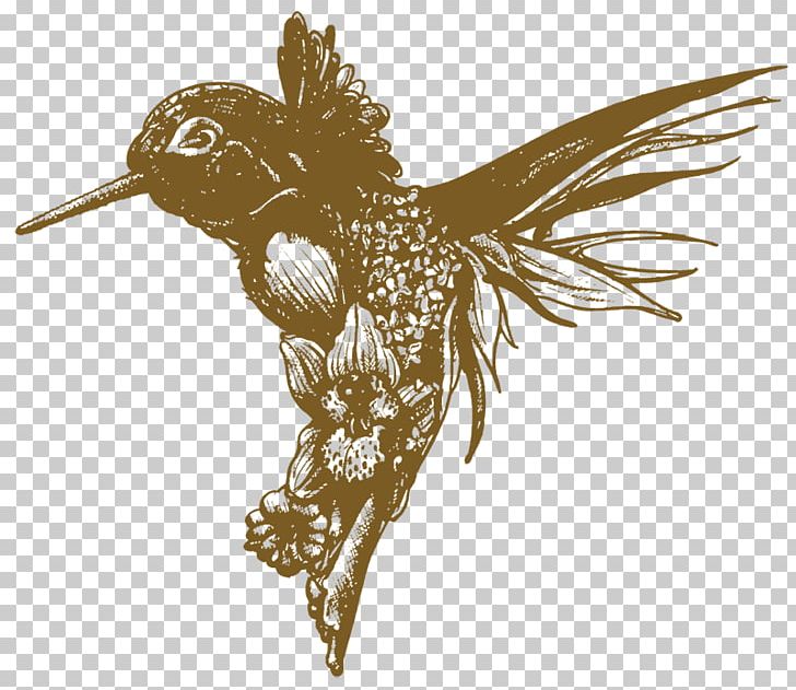 Hummingbird Flower Drawing PNG, Clipart, Art, Beak, Bird, Bird Of Prey, Blackchinned Hummingbird Free PNG Download