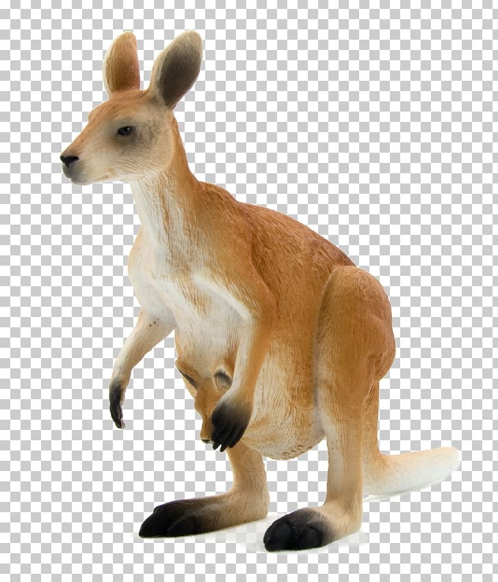 Red Kangaroo Macropodidae Eastern Grey Kangaroo Western Grey Kangaroo Antilopine Kangaroo PNG, Clipart, Animals, Australia, Australia Kangaroo, Cartoon Kangaroo, Christmas Kangaroo Free PNG Download