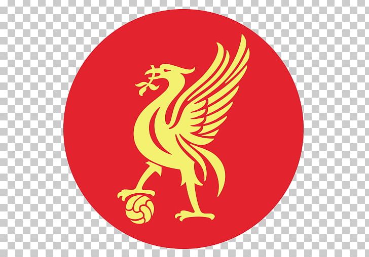 Liverpool F.C. Women Anfield Football UEFA Champions League PNG, Clipart,  Free PNG Download