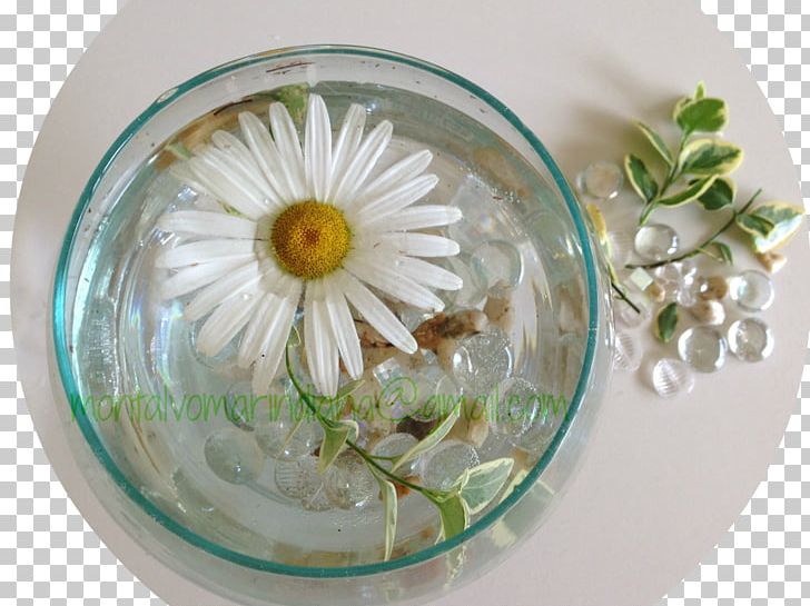 Plate Bowl Vase Flower PNG, Clipart, Bowl, Dishware, Flower, Glass, Plate Free PNG Download