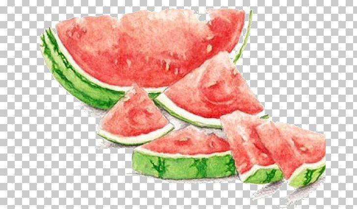 Watermelon Watercolor Painting Drawing Seedless Fruit PNG, Clipart, Art, Art Museum, Beauty, Beauty Salon, Citrullus Free PNG Download