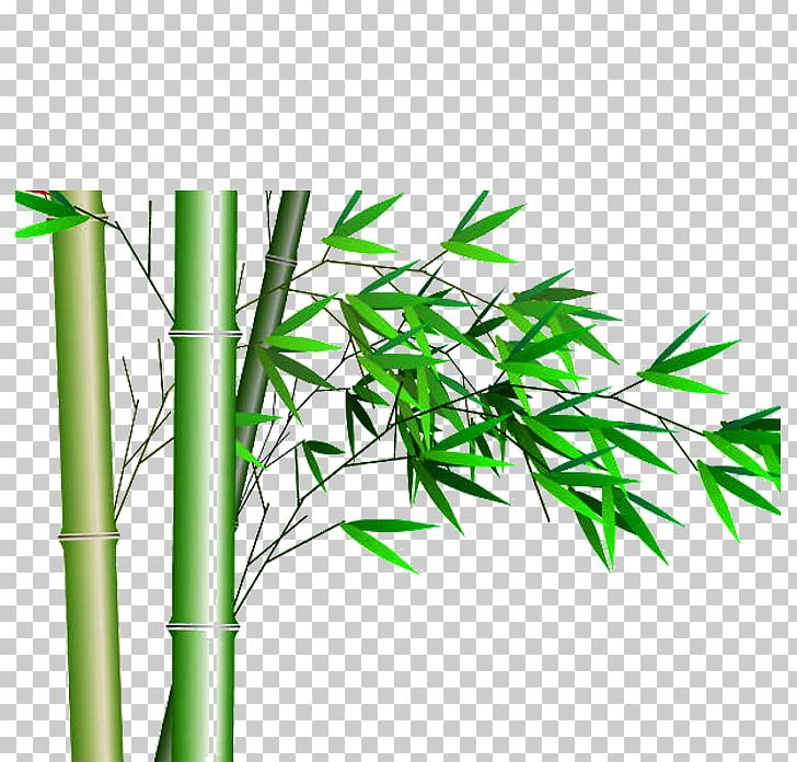 Bamboo Transparency And Translucency Chrysanthemum PNG, Clipart, Bamboo Border, Bamboo Frame, Bamboo Leaf, Bamboo Leaves, Bamboo Material Free PNG Download