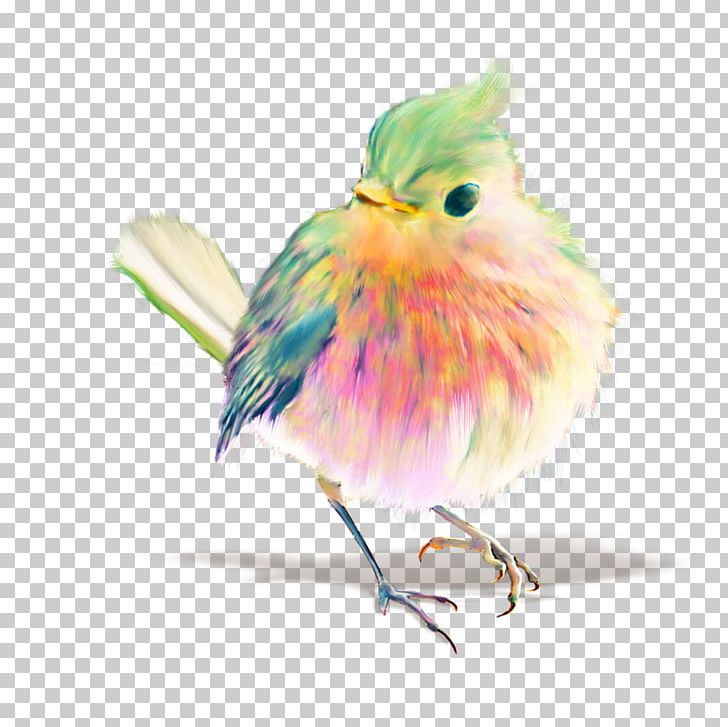 Bird Watercolor Painting Drawing Pastel PNG, Clipart, Animals, Art, Art Museum, Beak, Bird Free PNG Download