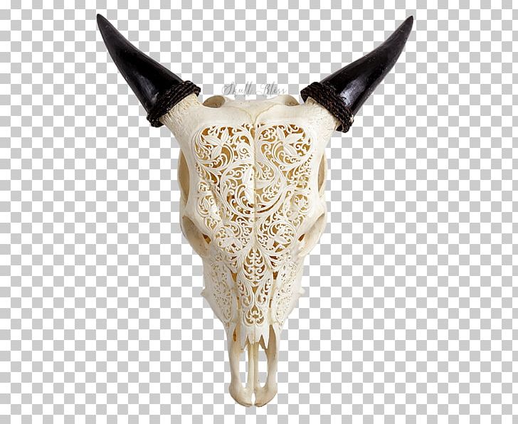 Cattle Animal Skulls Horn Ox PNG, Clipart, Animal, Animal Skulls, Bison, Bone, Bull Free PNG Download