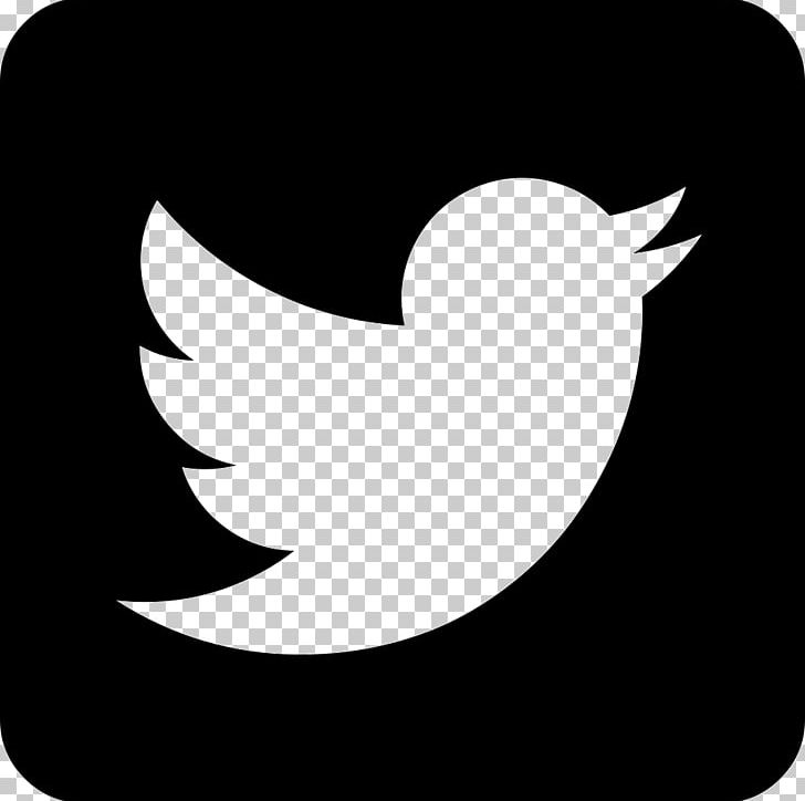 Computer Icons Social Media Logo PNG, Clipart, Beak, Bird, Black, Black And White, Circle Free PNG Download