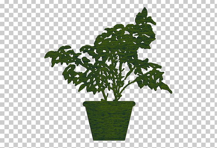 Nature Fig Trees Flowerpot Natural Environment Houseplant PNG, Clipart, Bertikal, Borneo, Byproduct, Cart, Ficus Free PNG Download