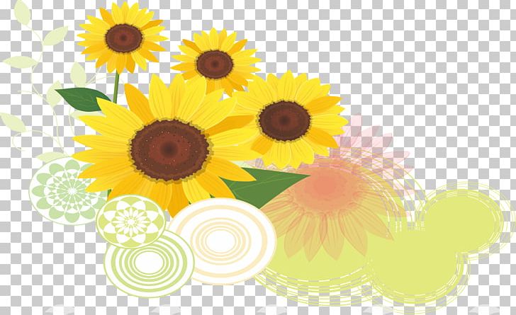 Common Sunflower Euclidean PNG, Clipart, Computer Wallpaper, Daisy Family, Encapsulated Postscript, Flower, Flower Arranging Free PNG Download