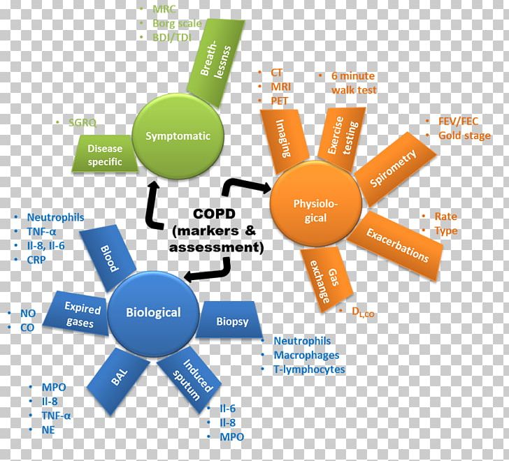 Graphic Design Brand Diagram PNG, Clipart, Art, Brand, Carbon Monoxide, Communication, Copd Free PNG Download