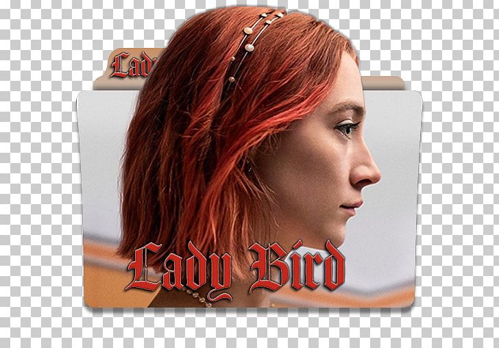 Lady Bird Film Criticism Academy Award For Best Actor PNG, Clipart, 2017, Academy Award For Best Picture, Academy Awards, Actor, Brown Hair Free PNG Download