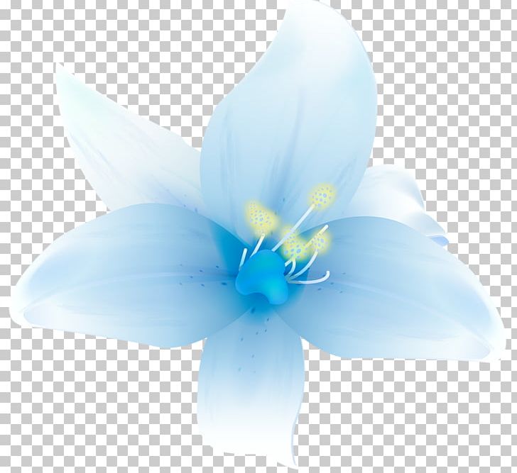 Petal Blue Flower Graphics PNG, Clipart, Blue, Blue Flower, Clipart, Closeup, Computer Free PNG Download