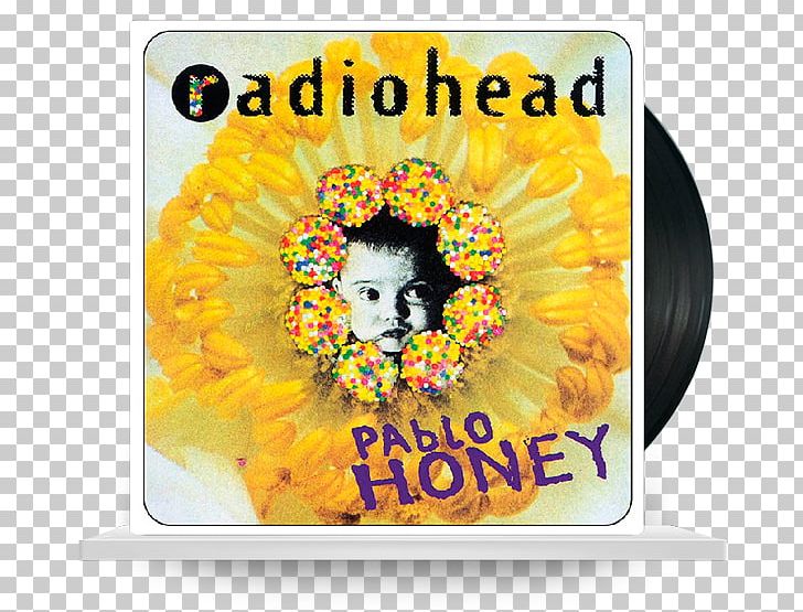 Radiohead Pablo Honey Album The King Of Limbs Kid A PNG, Clipart, Advertising, Album, Colin Greenwood, Creep, Flower Free PNG Download