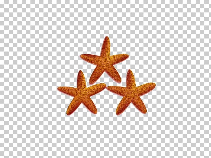 Starfish F**k You PNG, Clipart, Animals, Cardmaking, Christmas, Christmas Card, Creative Free PNG Download
