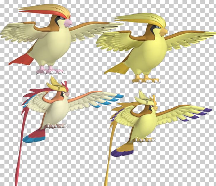 Pokémon X And Y Pidgeotto PNG, Clipart, Beak, Bird, Blastoise, Butterfree, Charizard Free PNG Download